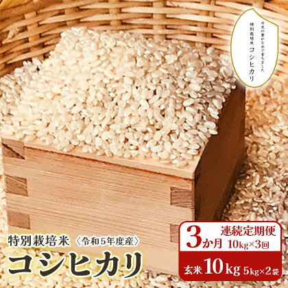 [3か月連続定期便(10kg×3回)] 令和5年度産 特別栽培米 コシヒカリ 玄米10kg(5kg×2袋)｜数量限定 お米 こしひかり 国産 日光産 産地直送 [0317]