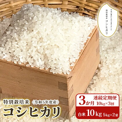 [3か月連続定期便(10kg×3回)] 令和5年度産 特別栽培米 コシヒカリ 白米10kg(5kg×2袋)｜数量限定 お米 精米 こしひかり 国産 日光産 産地直送 [0318]