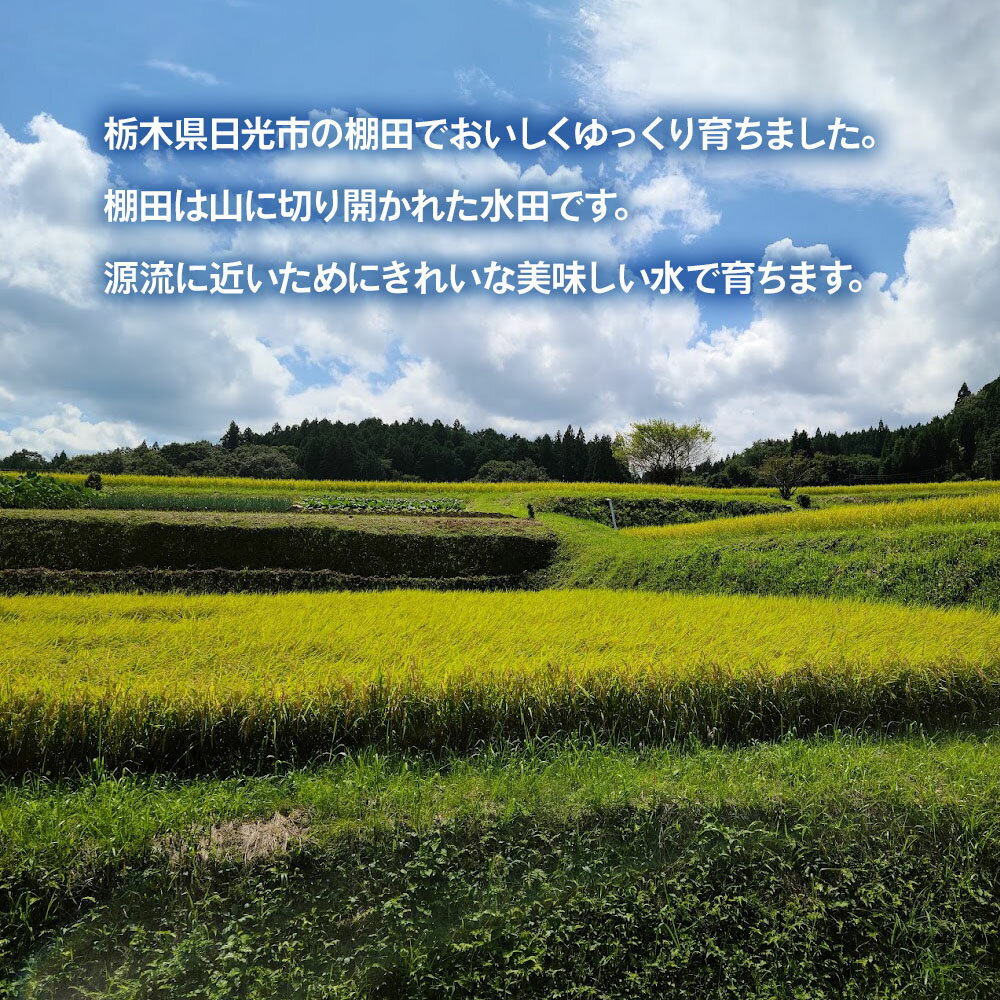 栃木県日光市の画像2