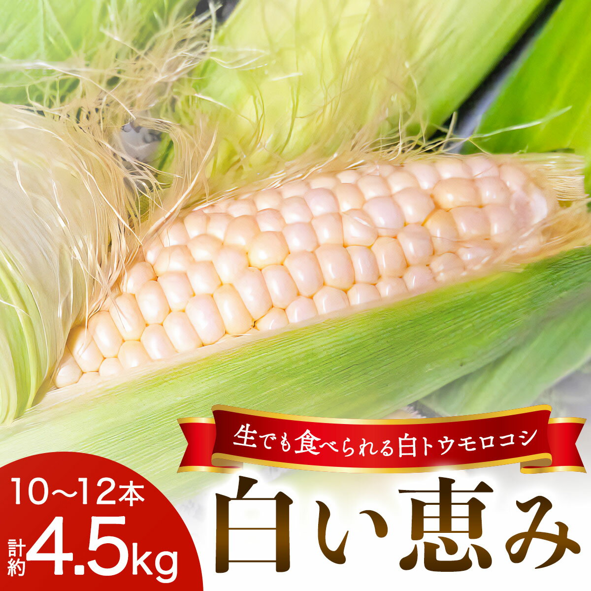 [先行予約] 生でも食べられる白いトウモロコシ「白い恵み」10本から12本/約4,5kg|トウモロコシ 白トウモロコシ とうもろこし 白い恵み 野菜 フルーツ スイーツ 糖度 栃木県産 日光産 期間限定 数量限定 夏 風物詩 [0720]