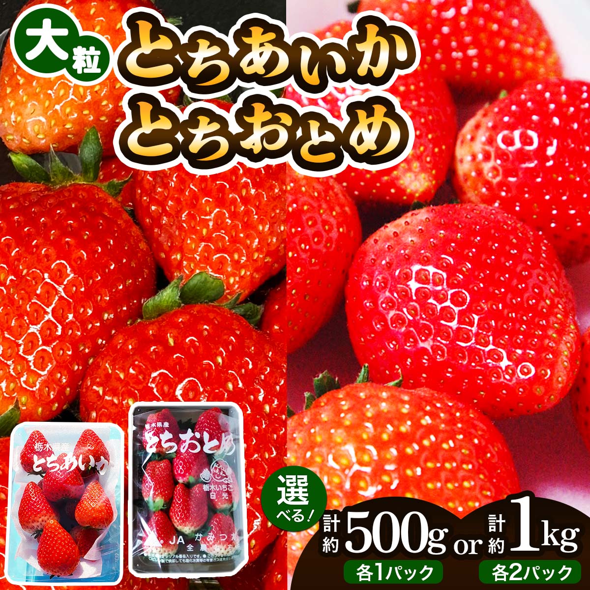 大粒とちあいか+大粒とちおとめ [選べるパック数:計2パック (約500g)/計4パック (約1kg)][2026年1月上旬より順次発送]|先行予約 とちあいか とちおとめ いちご イチゴ 苺 大粒 果物 果実 フルーツ 産地直送 日光市産 栃木県産 数量限定 [0780-0782]