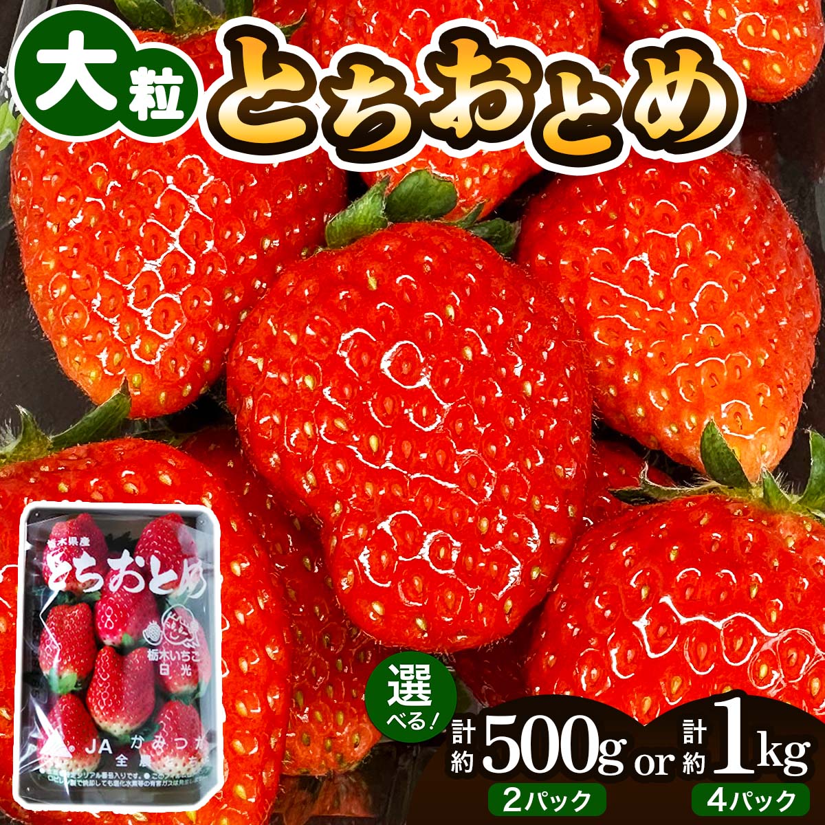 大粒とちおとめ [選べるパック数:2パック (約500g)/4パック (約1kg)][2026年1月上旬より順次発送]|先行予約 とちおとめ いちご イチゴ 苺 大粒 果物 果実 フルーツ 産地直送 日光市産 栃木県産 数量限定 [0783-0785]
