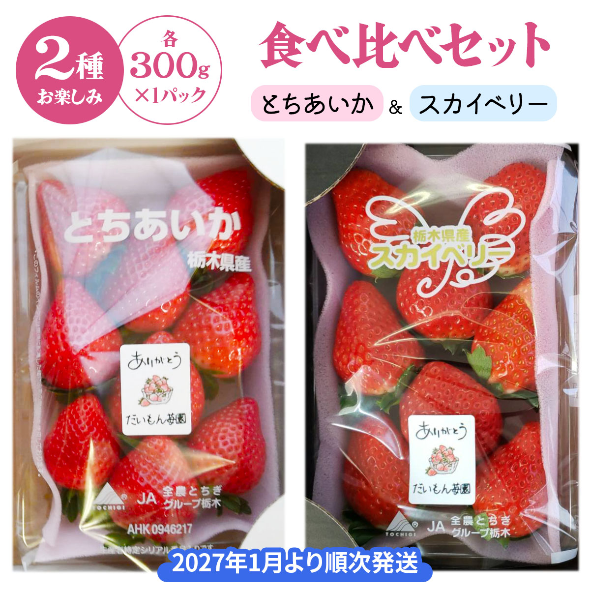 【ふるさと納税】2種お楽しみ食べ比べセット「とちあいか＆スカイベリー」【2027年1月より順次発送】｜とちあいか スカイベリー ミルキーベリー いちご イチゴ 苺 フルーツ 果実 スイーツ 日光市産 栃木県産 産地直送 [0961]
