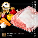 【ふるさと納税】おやま和牛 A5極　サーロインブロック　約5kg【配送不可地域：離島】【1096920】