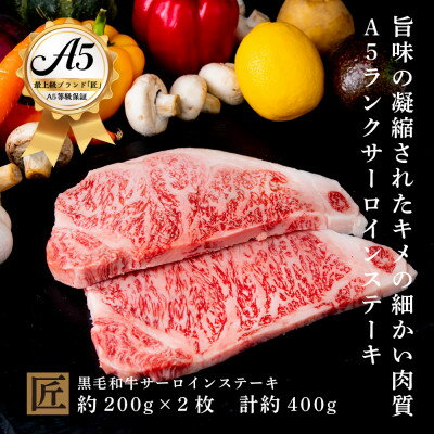 おやま和牛 A5 極 サーロイン 約200g×2枚【配送不可地域：離島】【1096924】