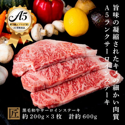 【ふるさと納税】おやま和牛 A5 極 サーロイン 約200g×3枚【配送不可地域:離島】【1096925】