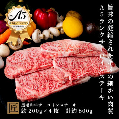 32位! 口コミ数「1件」評価「2」おやま和牛 A5 極 サーロイン 約200g×4枚【配送不可地域：離島】【1096926】