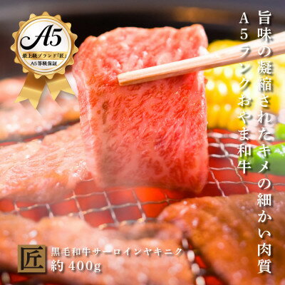 おやま和牛 A5 極 サーロイン 焼肉用　約400g【配送不可地域：離島】【1096929】