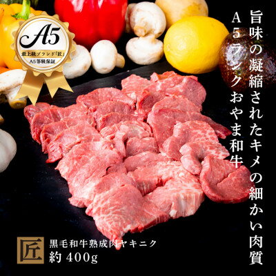 おやま和牛 A5 極 熟成肉ヤキニク 約400g【配送不可地域：離島】【1096944】