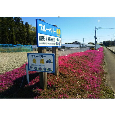 栃木県小山市の画像2