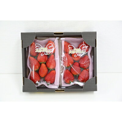 【ふるさと納税】【いちご王国の逸品】小山市産「スカイベリー」 280g×2P【配送不可地域：離島・北海道・沖縄県・信越、北陸・東海・近畿・中国・四国・九州】【1260976】のサムネイル