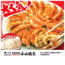 【ふるさと納税】冷凍餃子専門店 小山餃子[Sセット全45個]