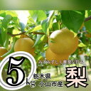 【ふるさと納税】ずっしり5kg【にっこり】 栃木県小山市産の梨 【1441930】
