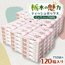 【ふるさと納税】【120箱入り】大満足パック栃木の魅力ティッシュボックス150w×120箱※配送不可地域:離島・沖縄【配送不可地域:離島・沖縄県】【145453...