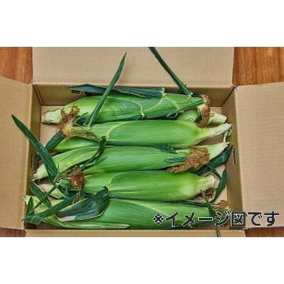 【ふるさと納税】【28本】朝採れ!新鮮とうもろこし「ゴールドラッシュ」【配送不可地域：離島・北海道・沖縄県・信越、北陸・東海・近畿・中国・四国・九州】【1487435】