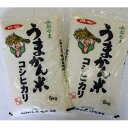 【ふるさと納税】令和7年産 栃木県小山市産コシヒカリ「うまかん米」 精米5kg×2袋【1592908】