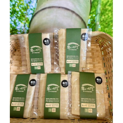 【ふるさと納税】純国産おやまメンマ思いの竹 穂先 200g×5パック【1596558】