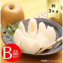 【ふるさと納税】【3kg】栃木県小山市産B級品 にっこり 梨【1617303】
