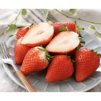 天空を映す甘美な果実 小山産スカイベリー 2パック[配送不可地域:離島・北海道・沖縄県・中国・四国・九州]