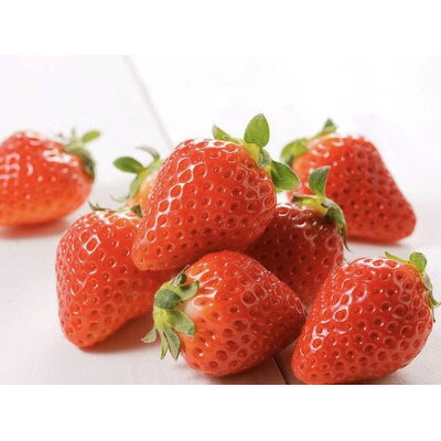 小山の恵み とちおとめ 2パック[配送不可地域:離島・北海道・沖縄県・中国・四国・九州]