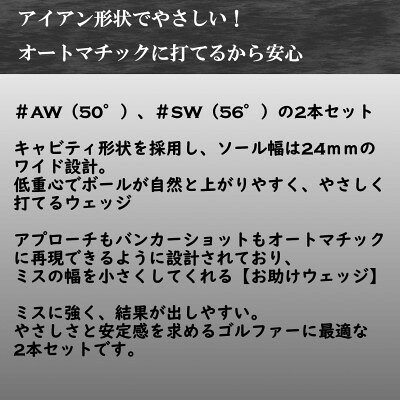 【ふるさと納税】ゴルフクラブ ウェッジ BLASTER #AW #SW 2本セット フレックスR 特別仕様【1726041】