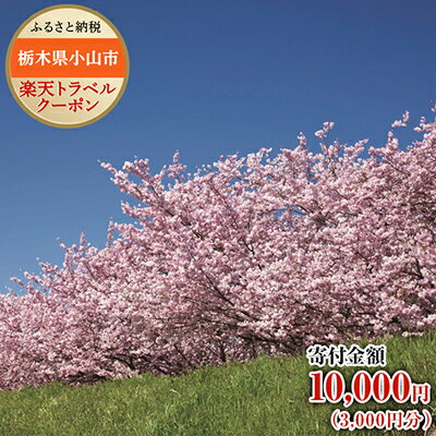 【ふるさと納税】栃木県小山市の対象施設で使える楽天トラベルクーポン寄付額10,000円