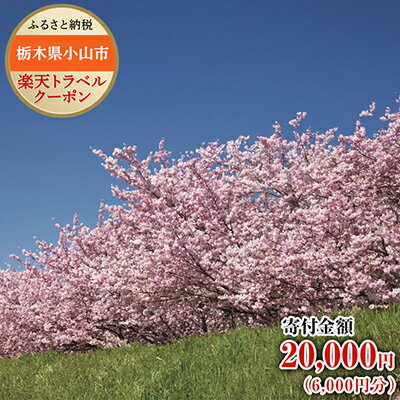 【ふるさと納税】栃木県小山市の対象施設で使える楽天トラベルクーポン寄付額20,000円