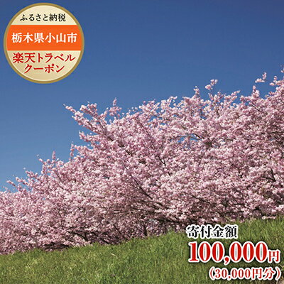 【ふるさと納税】栃木県小山市の対象施設で使える楽天トラベルクーポン寄付額100,000円