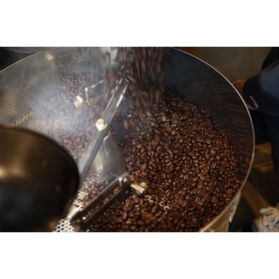 【ふるさと納税】CafeFUJINUMA自家焙煎(豆)焙煎士おまかせ3種飲み比べセット　100g×3種【1116693】