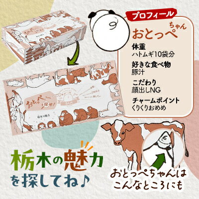 【ふるさと納税】【30箱入り】使い切りパック!栃木の魅力ティッシュボックス150w×3...