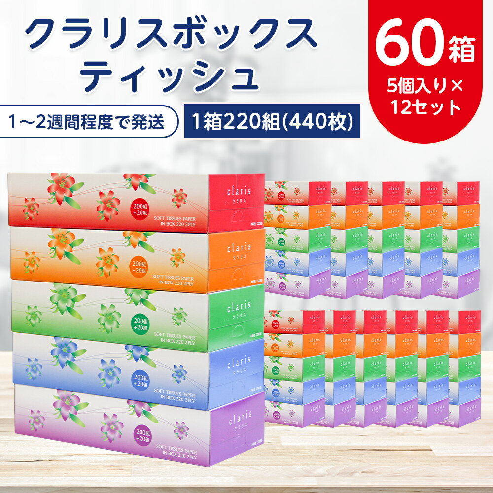 【ふるさと納税】クラリスボックスティッシュ60箱(1箱220組(440枚))(5個入り×12セット)【1256759】