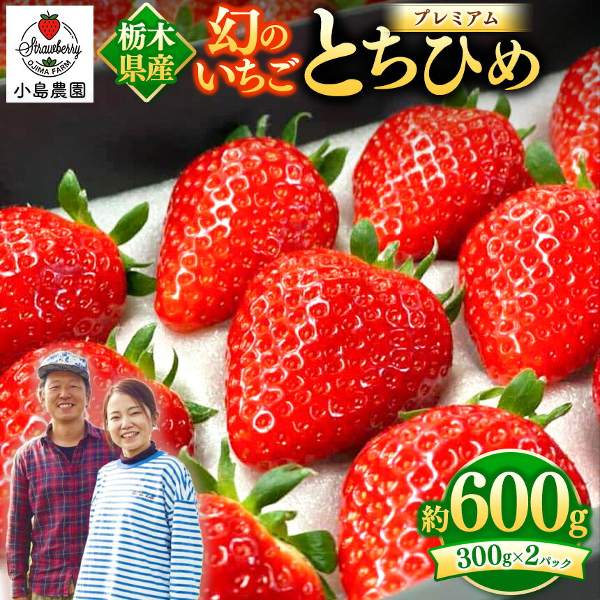 【ふるさと納税】幻 の イチゴ とちひめ 600g〈2024