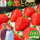 10位! 口コミ数「4件」評価「4」幻 の イチゴ とちひめ 600g〈2024年1月中旬～3月中旬の発送〉｜希少 柔らかい 果肉 大粒 ジューシー 果汁 いちご 苺 特産品 ･･･ 