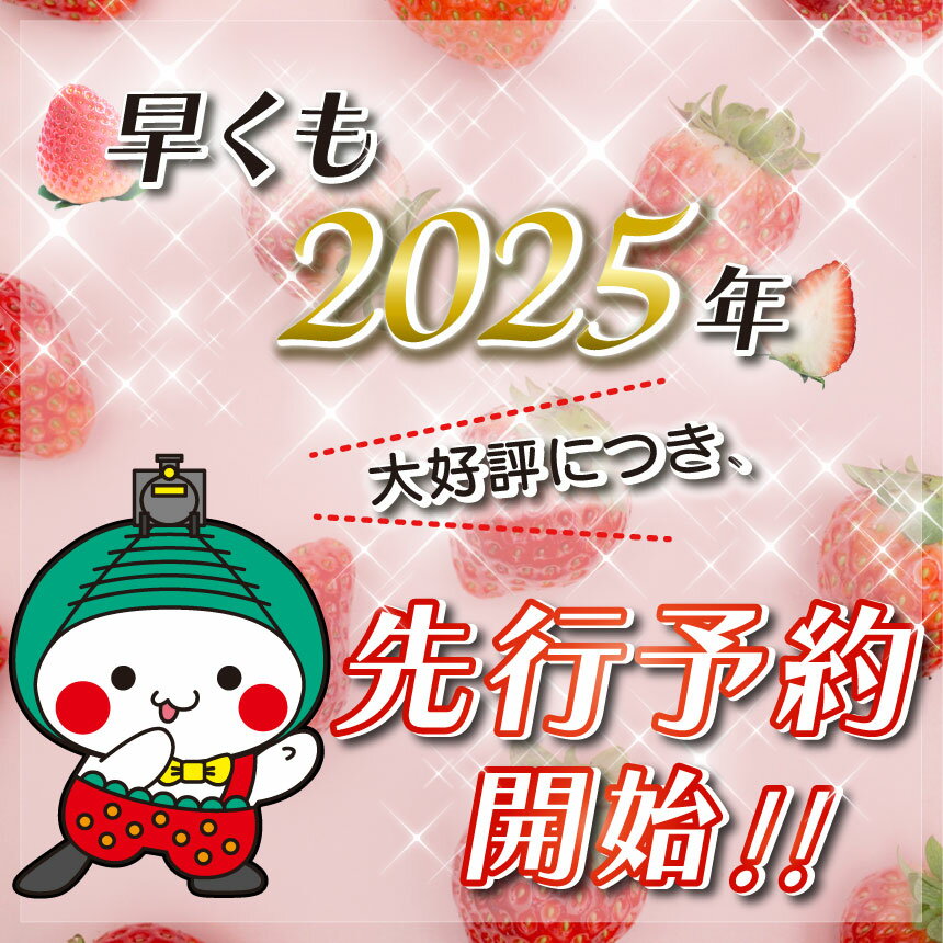 【ふるさと納税】幻 の イチゴ とちひめ 600g〈2024年1月中旬～3月中旬の発送〉｜希少 柔らかい 果肉 大粒 ジューシー 果汁 いちご 苺 特産品 栃木県 真岡市