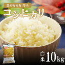  コシヒカリ お米 米 真岡産コシヒカリ 白米 10kg