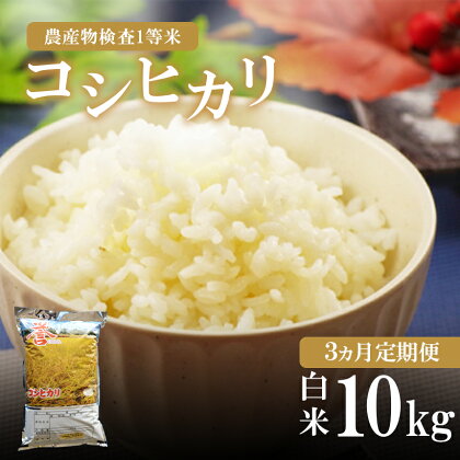 お米の定期便 3回定期 真岡産 コシヒカリ 白米 10kg 3回