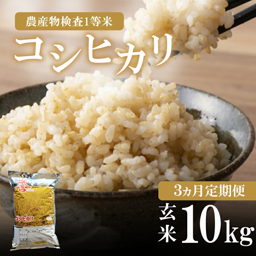 お米の定期便 3回定期 真岡産 コシヒカリ 玄米 10kg 3回