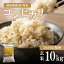 【ふるさと納税】 お米の定期便 3回定期 真岡産 コシヒカリ 玄米 10kg 3回