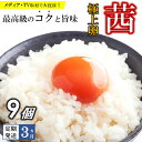 【ふるさと納税】【定期便3回】高級品質! 箱庭たまご 「茜」 9個｜ たまご 卵 高級 定期便 特産品 栃木県 真岡市 その1