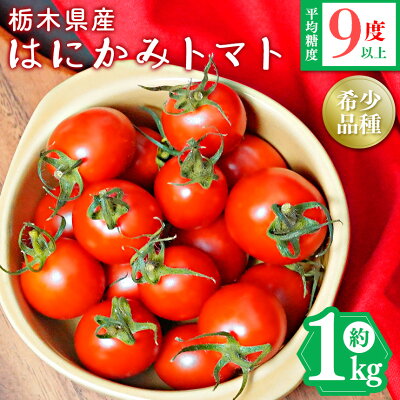 楽天ふるさと納税　【ふるさと納税】太陽の恵みをたっぷり浴びた はにかみ トマト 1kg ｜ 野菜 トマト フルーツ トマト ミニトマト 特産品 栃木県 真岡市 人気 お試し リコピン 豊富 1キロ 寄附 7000円 ベジタブル 果物 トマト 野菜ランキング 1位 獲得