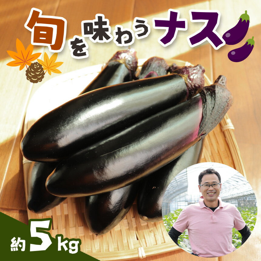 【ふるさと納税】旬を味わうナス 約5kg ｜ 野菜 ナス 茄子 夏秋ナス 長ナス 特産品 栃木県 真岡市 送料無料 なす なすび