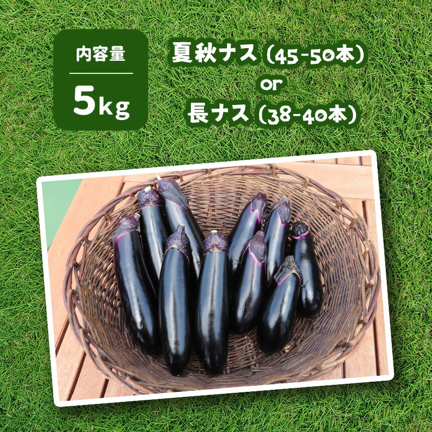 【ふるさと納税】旬を味わうナス 約5kg ｜ 野菜 ナス 茄子 夏秋ナス 長ナス 特産品 栃木県 真岡市 送料無料