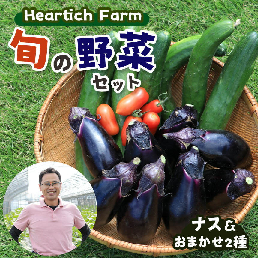 Heartich Farm 旬の野菜セット (ナス&おまかせ2種) | 野菜 ナス 茄子 セット 特産品 栃木県 真岡市
