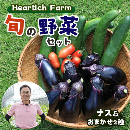 Heartich Farm 旬の野菜セット (ナス＆おまかせ2種) ｜ 野菜 ナス 茄子 セット 特産品 栃木県 真岡市