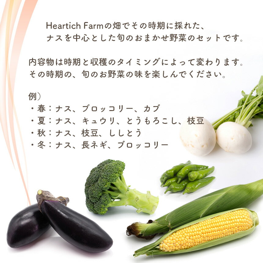 【ふるさと納税】Heartich Farm 旬の野菜セット (ナス＆おまかせ2種) ｜ 野菜 ナス 茄子 セット 特産品 栃木県 真岡市