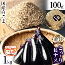 【ふるさと納税】トロ〜リ長ナスと国産白ゴマセット| 野菜 ナス 茄子 夏秋ナス 長ナス 白ごま ゴマ 胡麻 国産 手作業 煎りたて ごま煎り 体験 擦りたて 強...