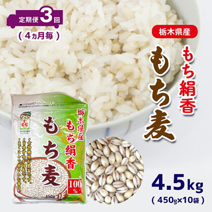 もち麦 定期便 3回 (4ヶ月毎) 栃木県産もち絹香 もち麦 (450g×10袋) もち麦