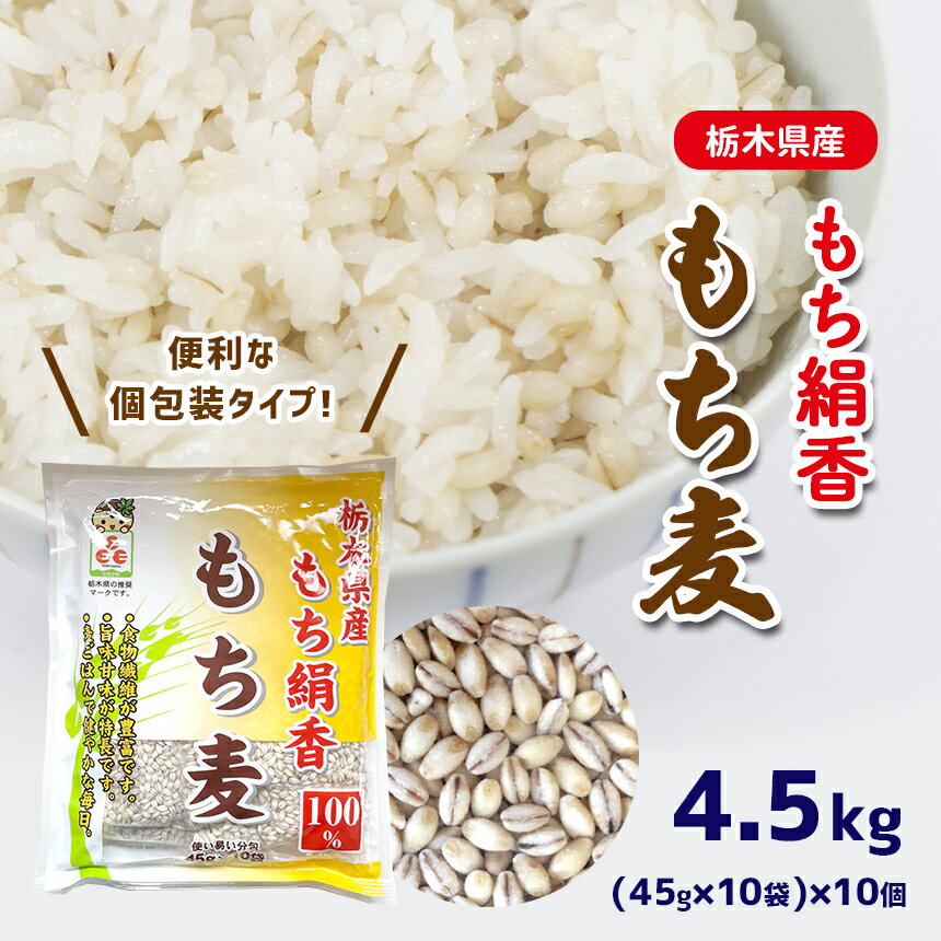 【ふるさと納税】 もち麦 (45g×10袋) × 10個 小袋 使いやすい 便利 スーパーフード 栃木県 真岡市