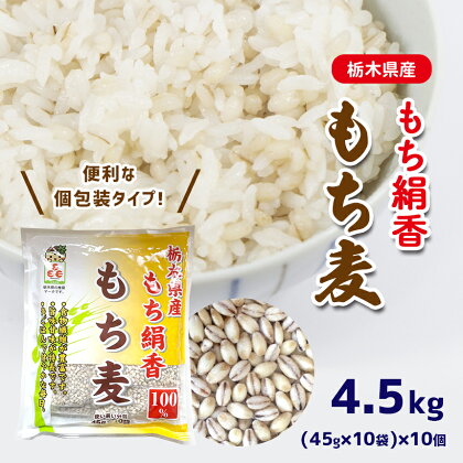 もち麦 (45g×10袋) × 10個 小袋 使いやすい 便利 スーパーフード 栃木県 真岡市