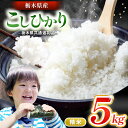 【ふるさと納税】お米 栃木県産 こしひかり 新米 精米 5kg |おすすめ 精米 つきたて 白米 ごはん ご飯 コシヒカリ 美味しい シャリ ふっくら おにぎり...